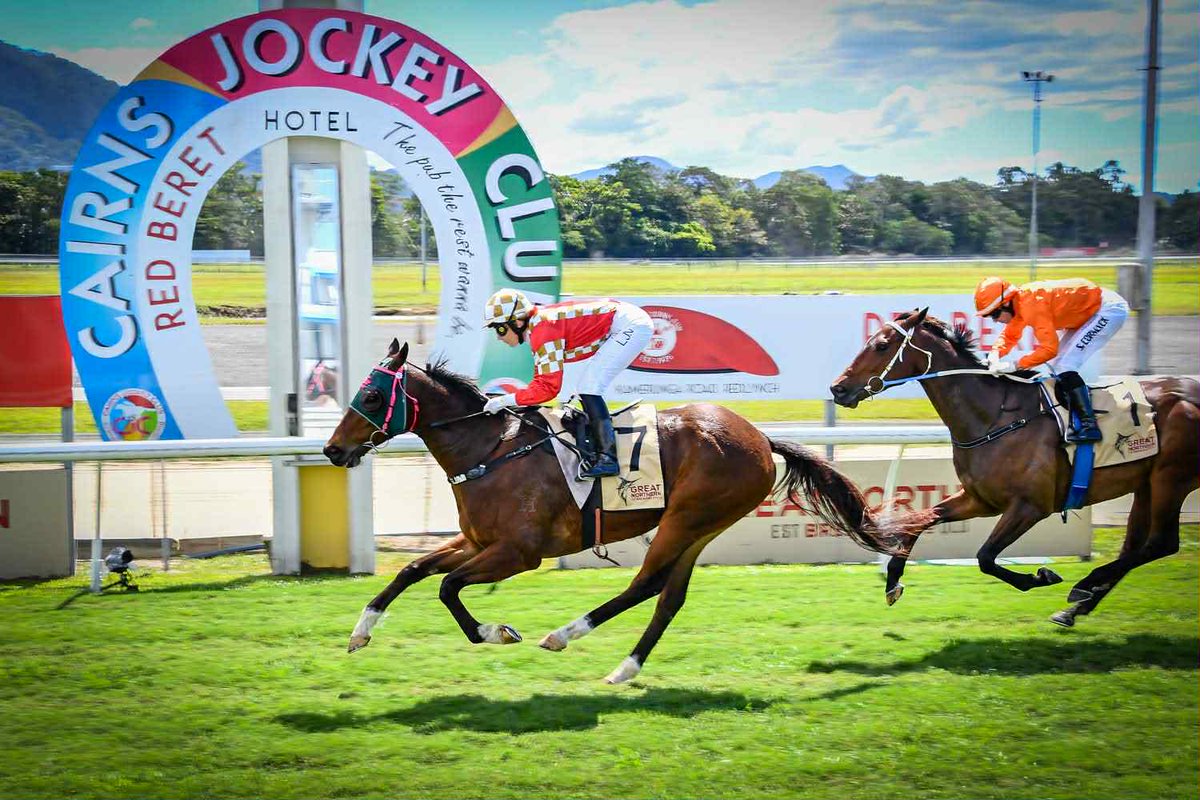 Exciting horse this bloke, Blue Steel. Should make it 2 carnival wins in 6 days this Friday. Looking forward to catching up on track with <a href="/kobie__1/">Kobie O'Brien</a> <a href="/Chargey76/">Michael Charge</a> and a host of local and Southern/Western based Stonk reprobates.