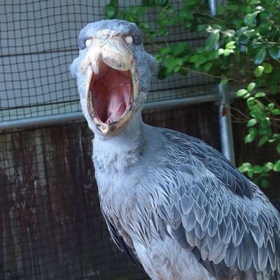 zutonemuin's tweet photo. #新しいプロフィール画像 https://t.co/8AIknpyvXq