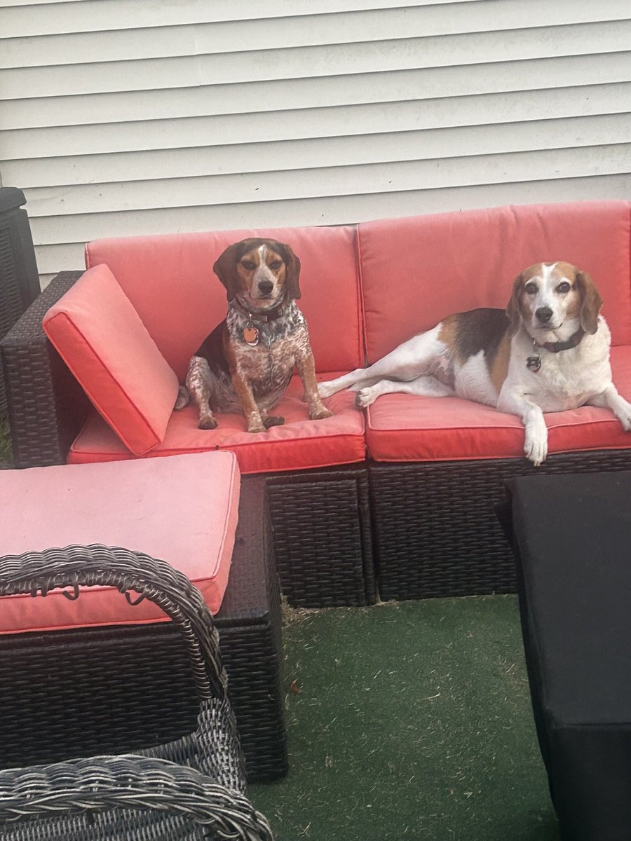 TwoBeags's tweet image. Are we gonna eat soon ?