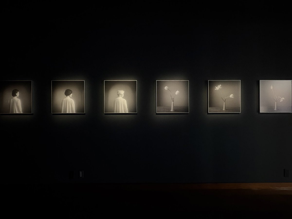 graphgate's tweet image. 本日より長谷川尚子さんの個展がスタートしました！
キヤノンギャラリー銀座は8/23(土)まで。
写真映像の世界にぜひお越しください✨
#GRAPHGATE #Canon