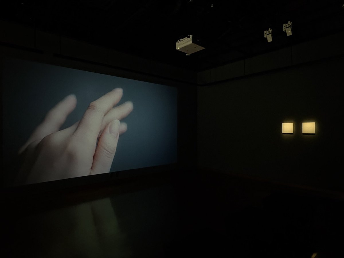 graphgate's tweet image. 本日より長谷川尚子さんの個展がスタートしました！
キヤノンギャラリー銀座は8/23(土)まで。
写真映像の世界にぜひお越しください✨
#GRAPHGATE #Canon