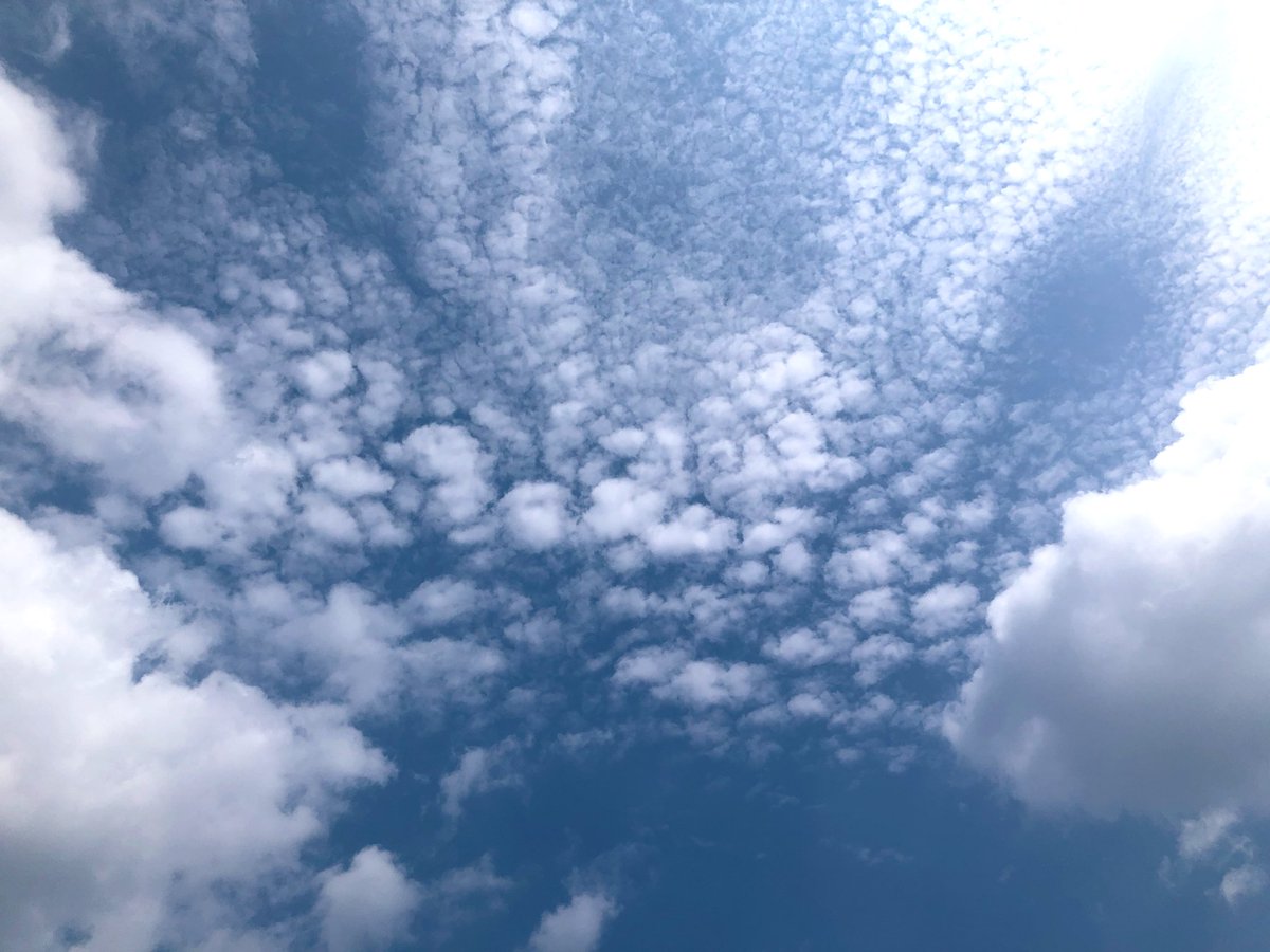 #イマソラ 
#雲がある風景 
#夏空 

変わらず暑いですが、少し、雲の傾向が変わってきました。

2025 8 19 Tue. 10:20 Fukuoka city.