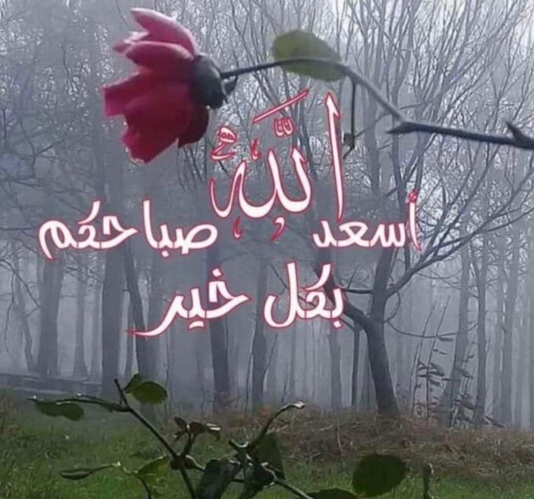 ما اسهل الذكر 
و ما اعظم الاجـر

"استغفرالله العظيم واتوب اليه"

#صباح_الخير
