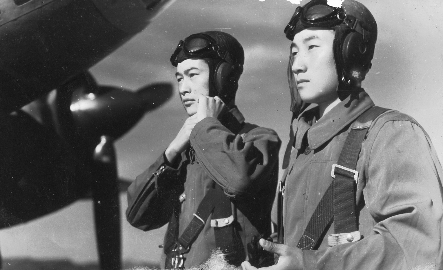 【廃盤DVD】下郎の首('55新東宝)伊藤大輔 廃盤DVD】下郎の首('55新東宝)伊藤大輔 - メルカリ