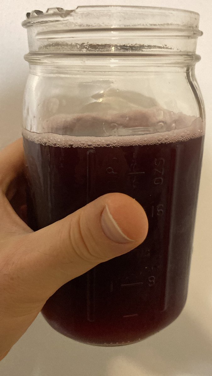 My refreshing new beverage: Organic blueberry juice mixed with a kombucha drink and lemon juice. ✨🌙