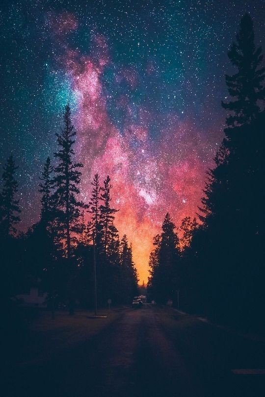 aestheticspost_'s tweet photo. https://t.co/IIGVvXjyeX