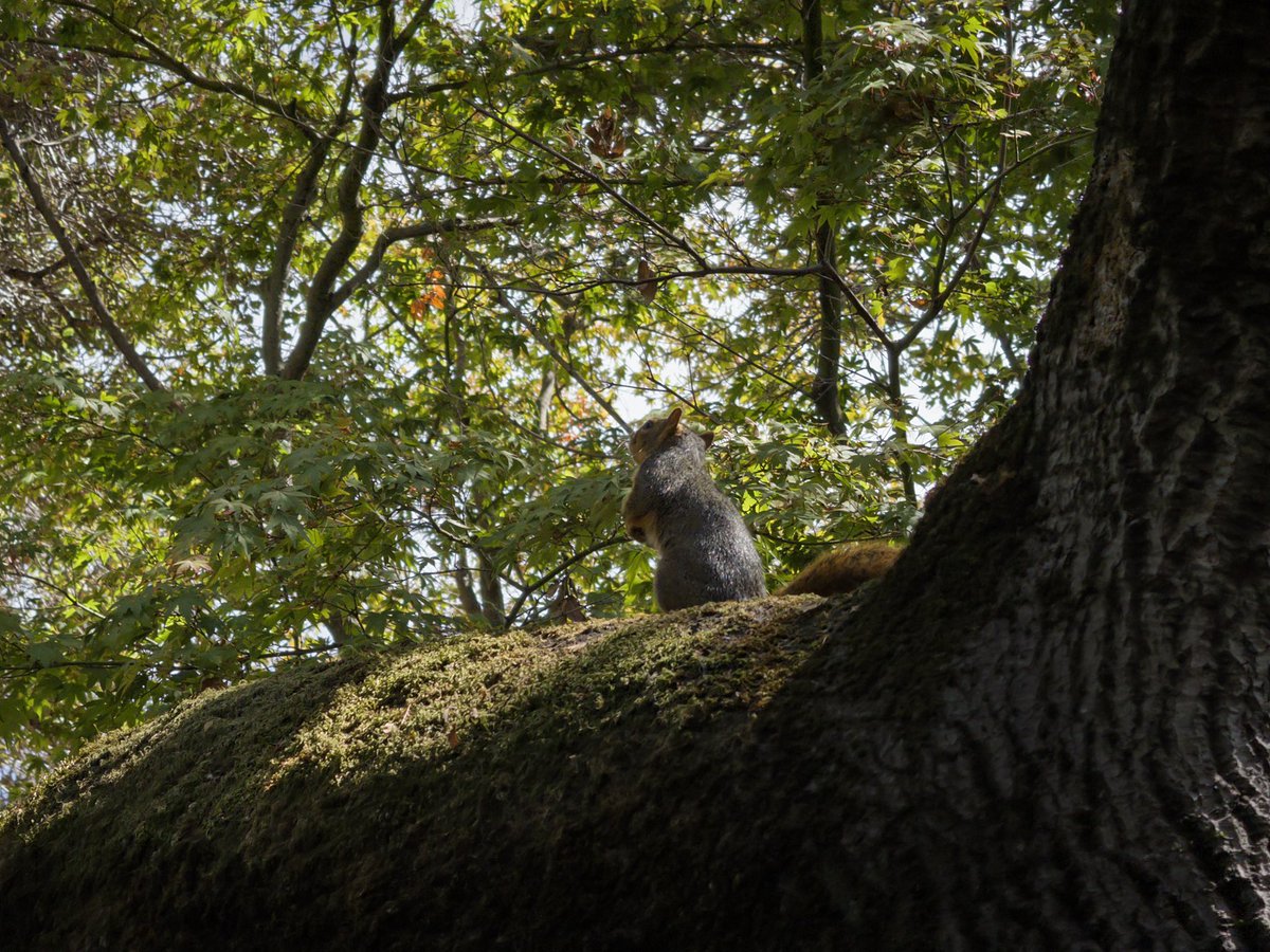 KAI (@lfk_dsk) on Twitter photo 