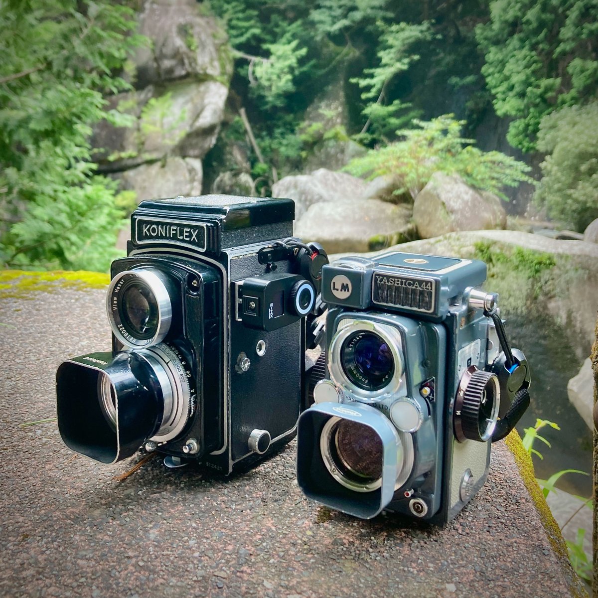 帰って来た国産二眼レフ写真展 - Search / X