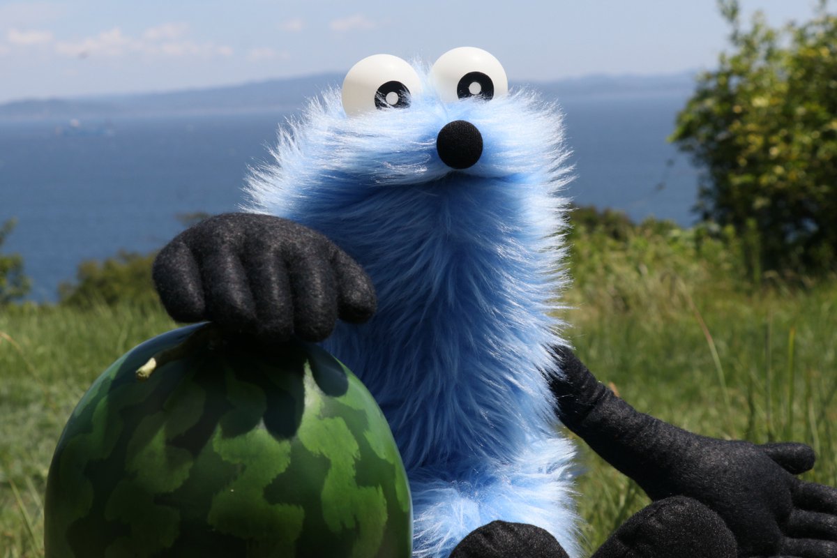 パペットスンスン (@puppet_sunsun) on Twitter photo 