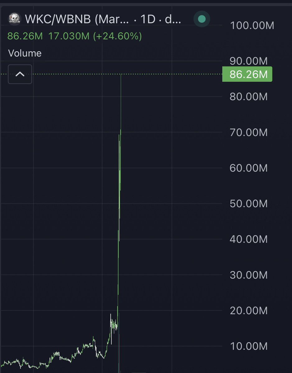 ChinaPumpWXC's tweet photo. $WKC billion dollar cat on bsc https://t.co/S2r8xYMTbX