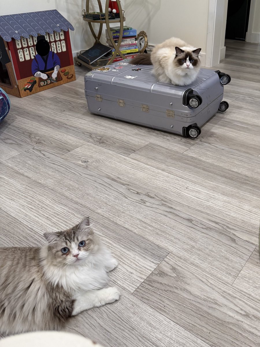 serinide tweet media