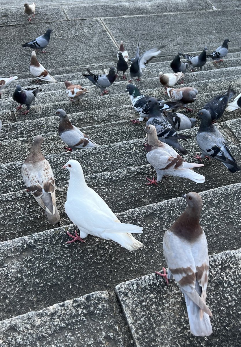 🌎 (@zhengjiudiqiu) on Twitter photo 