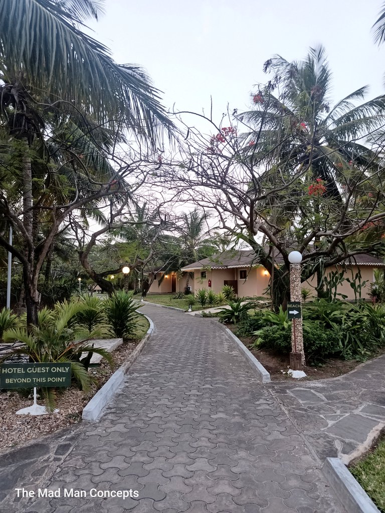 The Mad Man👿 (@wasswaemma555) on Twitter photo Time check ✔️✅
It's 5:15 am in Malindi City 🇰🇪
We have only a few Hours to launch The 4th Ug-kenya Coast Tourism Conference & Exhibition at Ocean Beach Resort & Spa 📍
Hosted by <a href="/UgandaMombasa/">Uganda Consulate Mombasa</a>
#ugkecoasttourism2025 Time check ✔️✅
It's 5:15 am in Malindi City 🇰🇪
We have only a few Hours to launch The 4th Ug-kenya Coast Tourism Conference & Exhibition at Ocean Beach Resort & Spa 📍
Hosted by <a href="/UgandaMombasa/">Uganda Consulate Mombasa</a>
#ugkecoasttourism2025