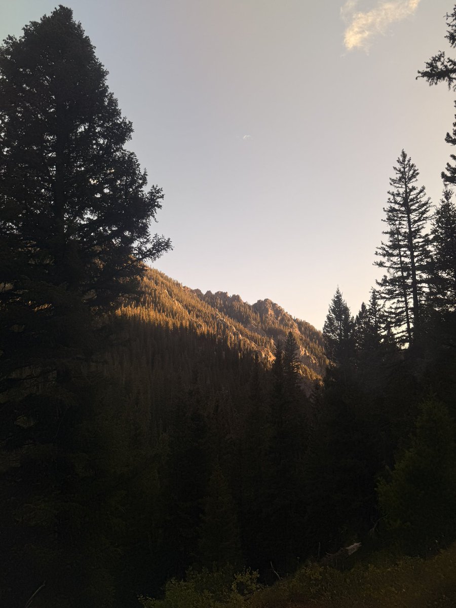 evening hike through my sunglasses