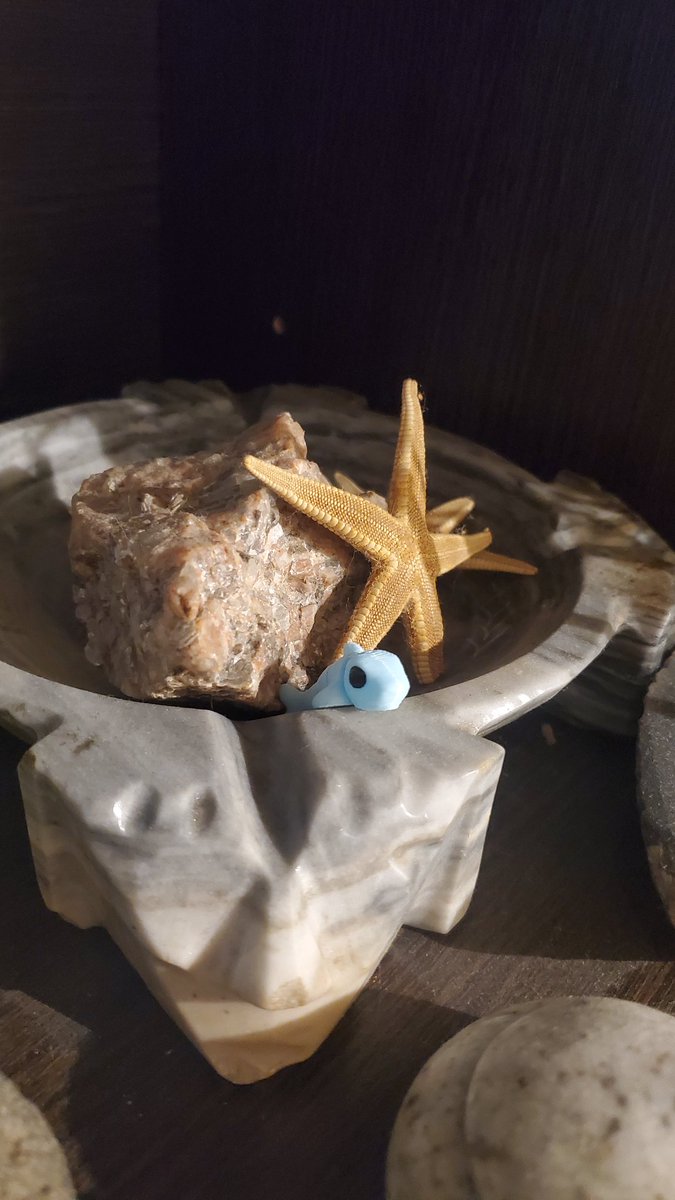 Sunny soup tweet media