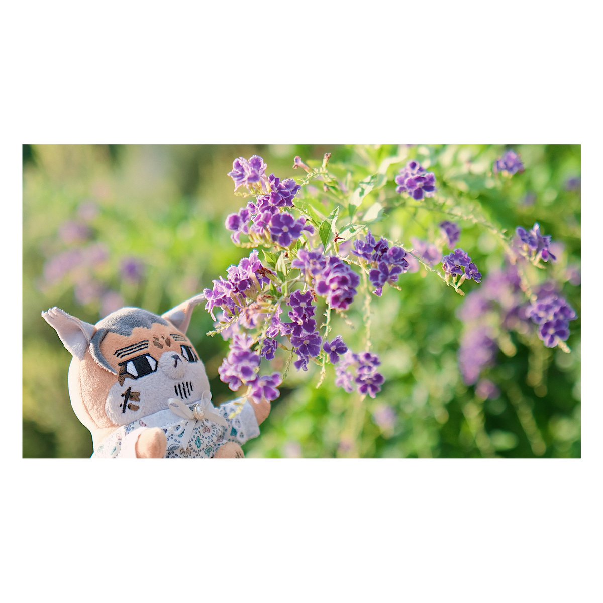 暑すぎるけど、もう陽射しはほんのり秋