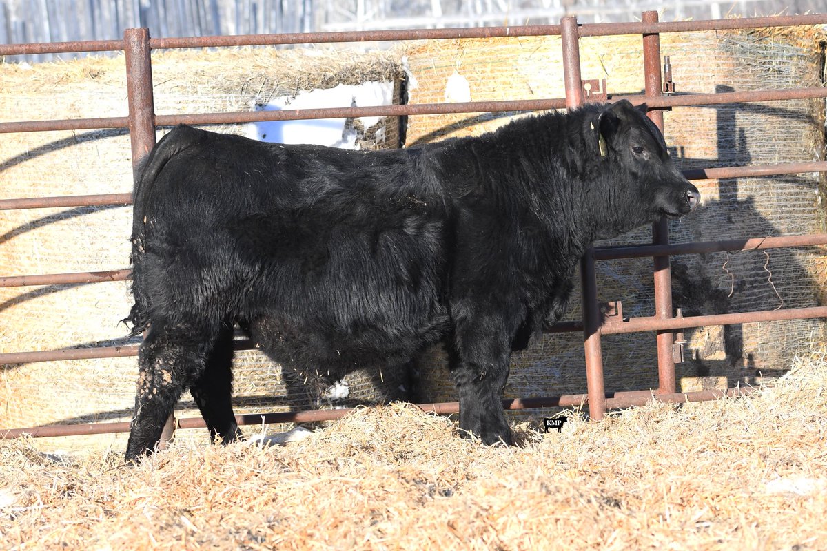 His full brother was pretty good last year