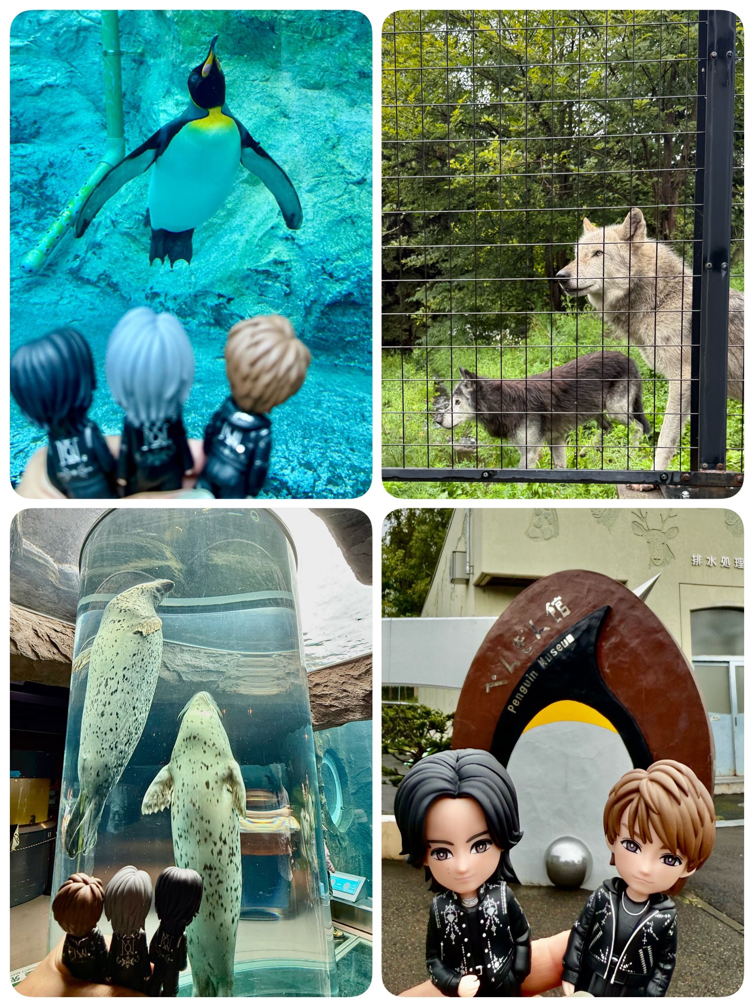 t*7様 新作　旭山動物園-寒風山展望台2種-和歌山電鉄4種コンプ＋ゴタマ記念メ t*7様 新作 旭山動物園-寒風山展望台2種-和歌山電鉄4