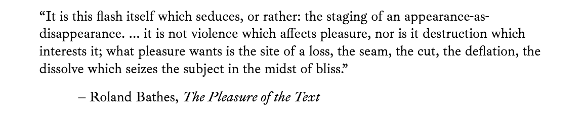 "... what pleasure wants is the site of a loss, the seam, the cut, the deflation, the dissolve which seizes the subject in the midst of bliss.”

– Roland Bathes, The Pleasure of the Text