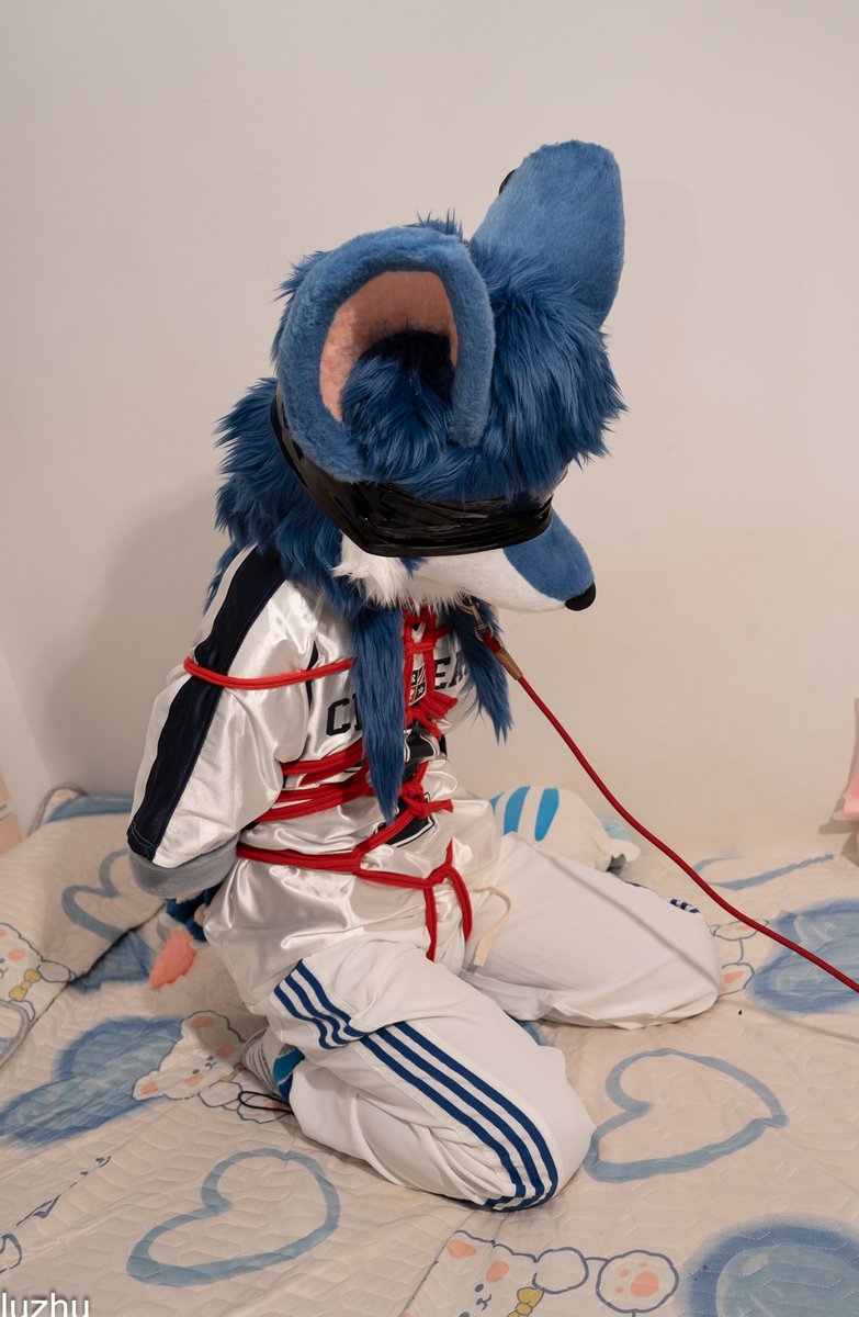 BndfhydBorndorf's tweet image. 贱狗不听话的下场