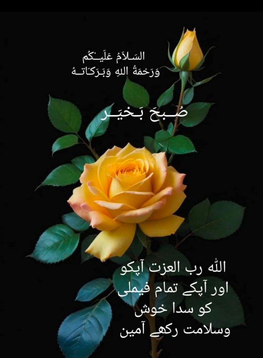 #عطاری_پرموشن
#شعائراسلام_کی_محافظTLP
@X1myX
<a href="/Ali_a12r/">🎉Rukh_N🎉</a>
<a href="/rdwy765/">شہزاد</a>
<a href="/Sial313_1/">مہدی حسن سیال</a>
<a href="/SHRR786/">𝑴.𝒔𝒉𝒂𝒌𝒆𝒆𝒍 𝒋𝒖𝒕𝒕 🇵🇰</a>
<a href="/MQA2981/">Muhammad Qurban Ali ansari🇵🇰🇵🇰🇵🇰</a>
<a href="/TG_ChDrY/">©️H🆔️🅰️🇵🇰</a>
<a href="/Jiger_Hunh/">عمر💫چٹھہ</a>
<a href="/dr_hamza6/">Dr Hamza</a>
<a href="/rizvi_chishti/">M Waseem Chishti Rizvi</a>
<a href="/UserX34101/">Tikooo</a>
@redline295_c
<a href="/ameen31392/">M Amin</a>
<a href="/IShzade50224/">Islam ke ShzadeBinty srwar</a>
<a href="/TLP_Rizwandxb/">Rizwan</a>
<a href="/BinteSayedNoor/">بنتِ سید نور</a>
@Trading_Hub007