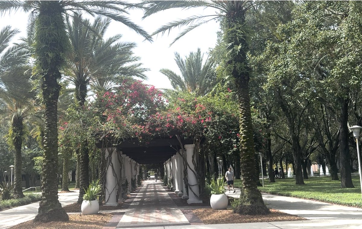 Honored to join <a href="/USouthFlorida/">University of South Florida</a> as a Visiting Assistant Instructor in History.  Excited to teach in both History &amp; Interdisciplinary Global Studies. #History  #MiddleEast  #internationalsecurity #MiddleEastpolitics #ColdWar #InternationalRelations #globalstudies #interdisciplinary