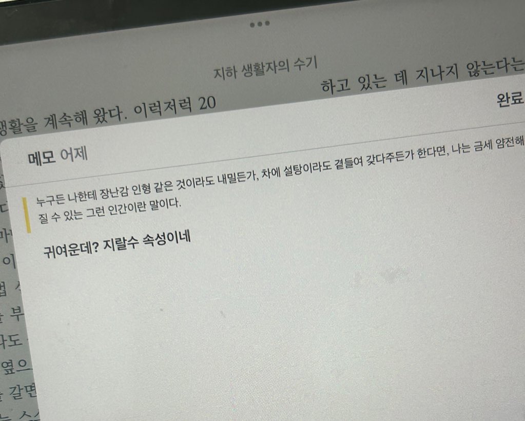 개송이버섯 (@pekingorilover) on Twitter photo 