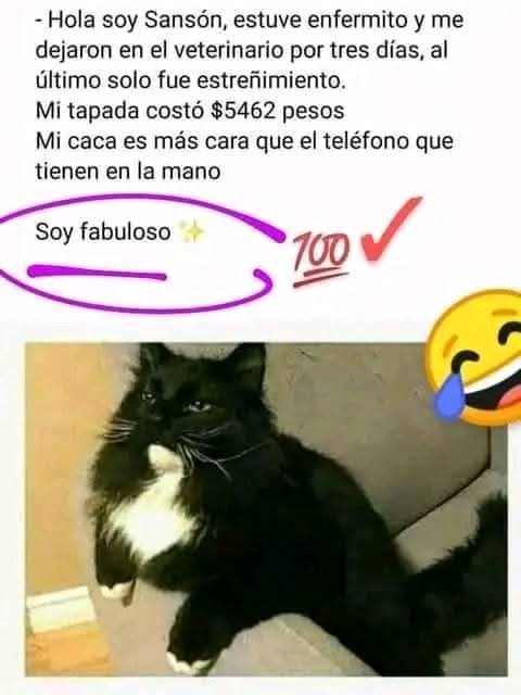 Mon🧙 (@lapinchemonse) on Twitter photo 