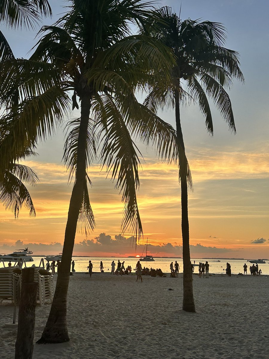 Fausto Massa tweet media