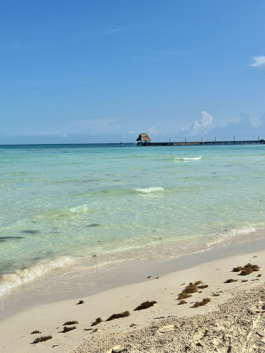 Fausto Massa tweet media