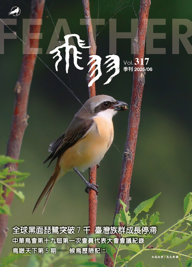 The newest issue of our quarterly magazine Feather is out now! 
熱騰騰的中華飛羽317期出刊了!  
🔥 快來看看還有什麼最新消息吧 🔥
🔗bird.org.tw/feather

小編真心推薦文章：
1.2025黑面琵鷺普查成果
2.候鳥歷險記-紅尾伯勞、夜鷺與牛背鷺的遷徙旅程(二)
3.小隼兒的天空(二)-看海家族3-4