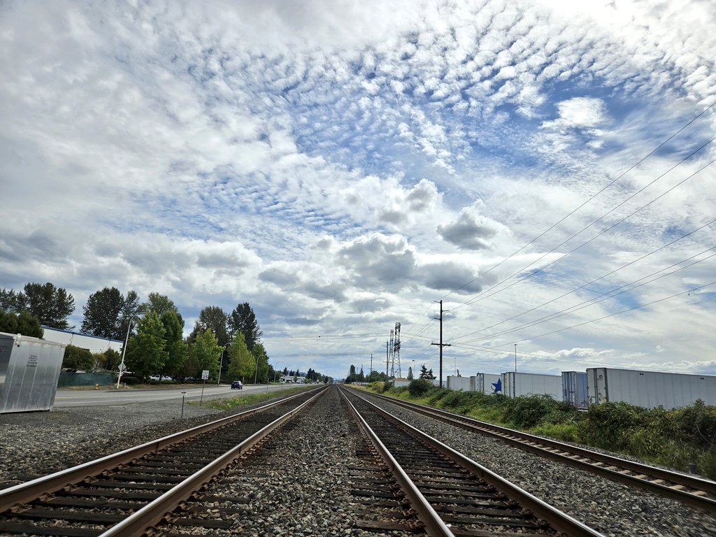 R0sear1n's tweet photo. Life is like a railway, full of stops but always moving forward.
#LifeJourney #OnTheRightTrack #MovingForward #RailwayVibes https://t.co/3du4JLoyMB