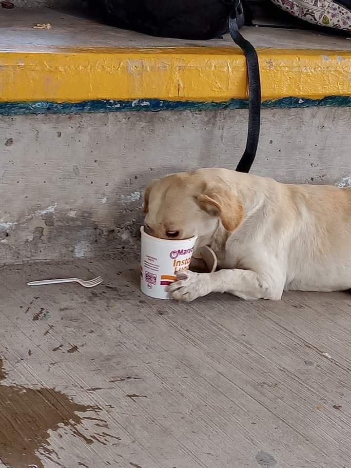 Martha Laura Covián (@mcovian) on Twitter photo Hasta los guaguas le entran a la Maruchan. 😂😂😂 Hasta los guaguas le entran a la Maruchan. 😂😂😂