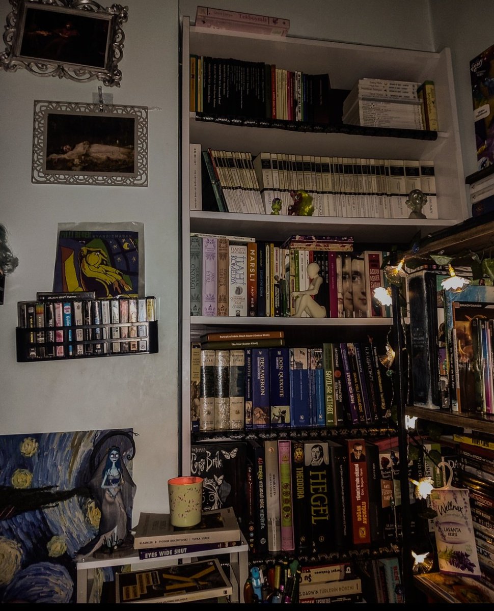 kitaplığımı seviyorum