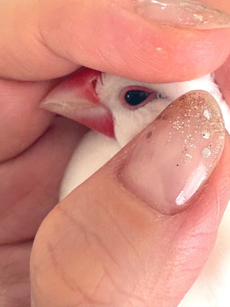 A♡さま確認ページ♡ 今年も楽しい夏にしたいね💫