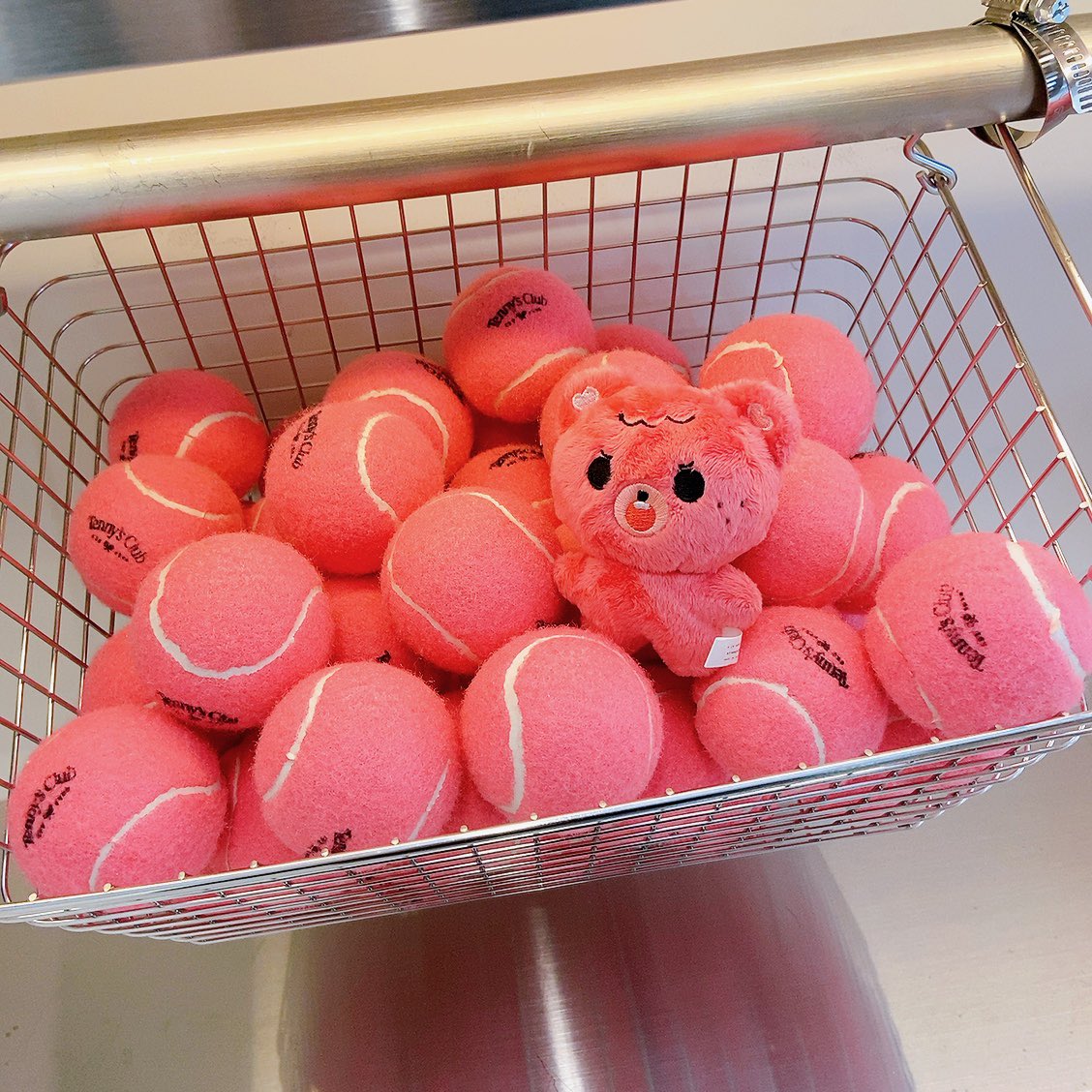 cutiechan_hc66's tweet image. HOLO is HOTPINK 
HOTPINK is me!

#HAECHAN #해찬 
#TASTE #HAECHAN_TASTE 
#NCT #NCT127 #NCTDREAM