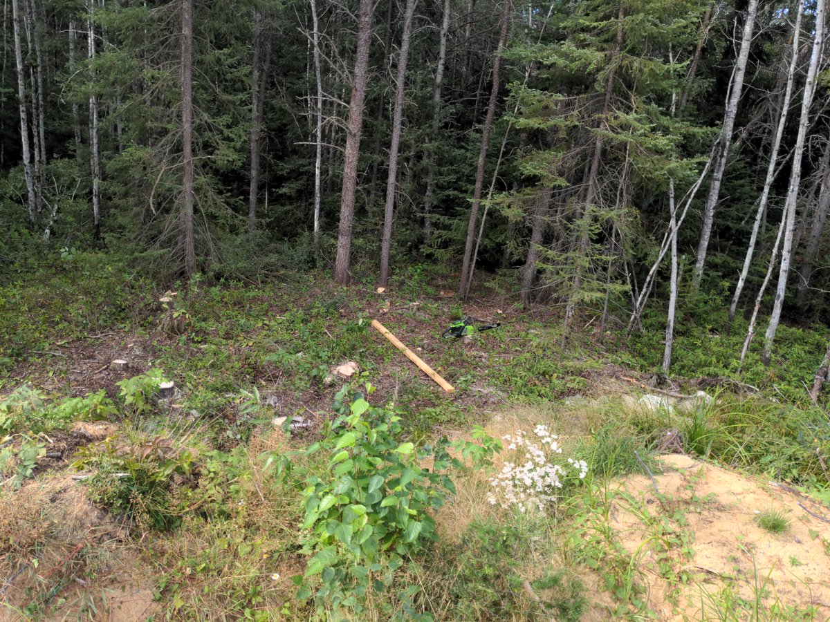 Nothing as nice as spending a day in the bush.  Thankfully still legal here.  Started clearing an area where I will build a pump house that will also double as a bunkie until I build a cabin.