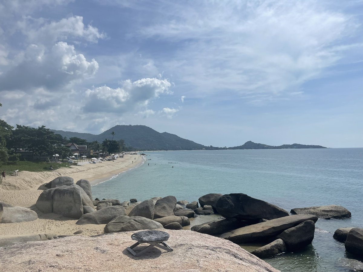 musingsofarunner tweet media