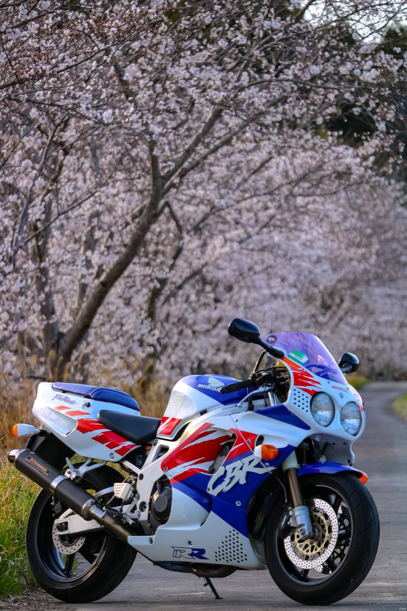 yot0893's tweet image. 名前:Yot
性別:男
年齢:29
住み:静岡 西部
愛車:#CBR900RR #SC28
好き:タバコ 金 ツーリング 西川貴教
一言：基本静岡を西か東にツーリングしてます。
#バイク乗りとして軽く自己紹介 
#バイク乗りと繋がりたい #バイクの日2025