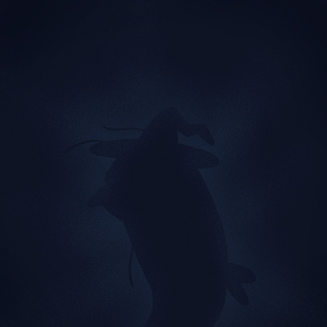 Anoma(<a href="/anoma/">Anoma</a>)のGenesis NFTとなる「Shrimpers」のDiscordがオープンし、現在WLを獲得できるチャンスがある模様。

Shrimpersの供給は3,000体限定。
ホルダー特典やエアドロへの期待が高まっており、コミュニティ主導でWL配布イベントも進行中。