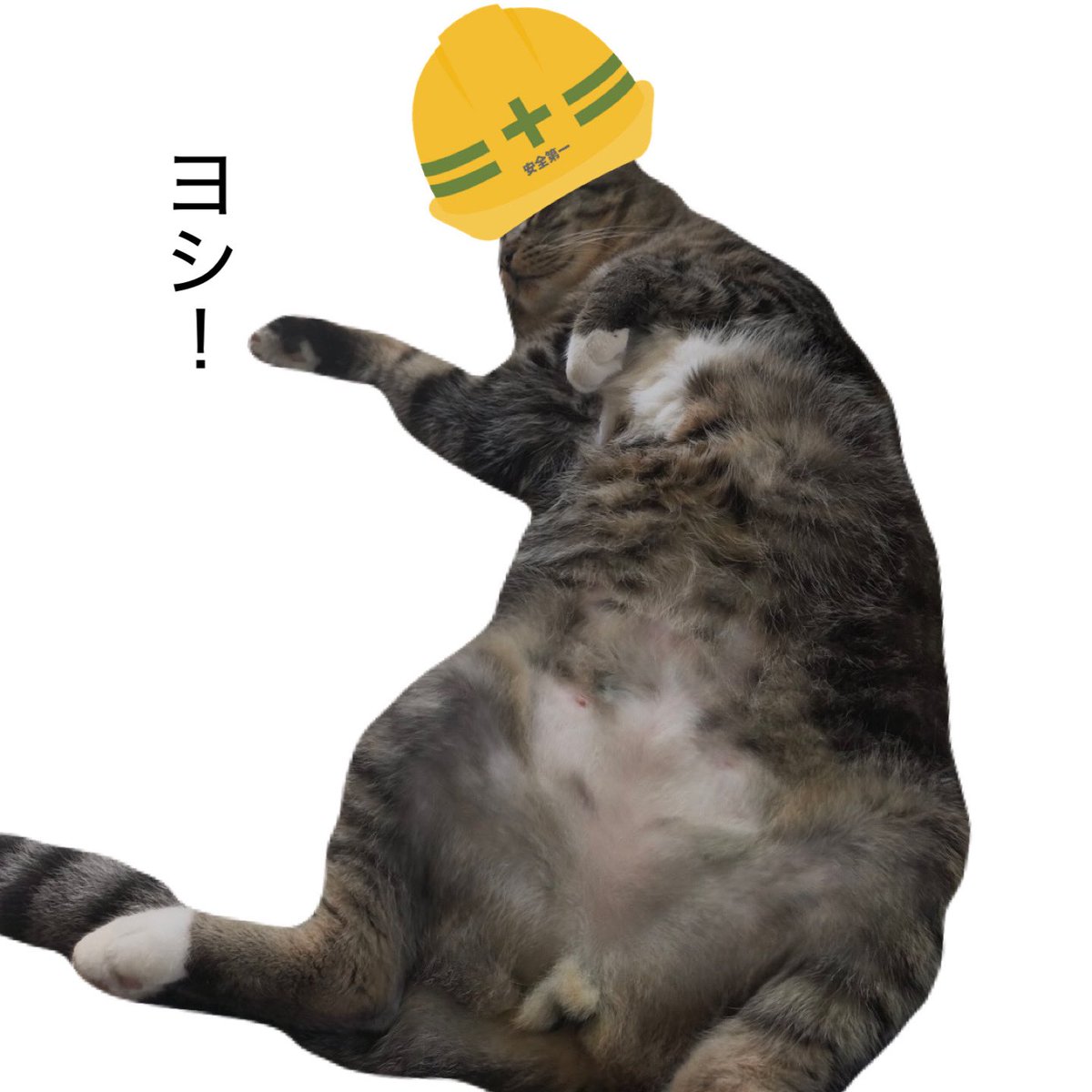 marusu_ds's tweet photo. @Zero_Aki7 ほらよ https://t.co/hD1sn6OQCr