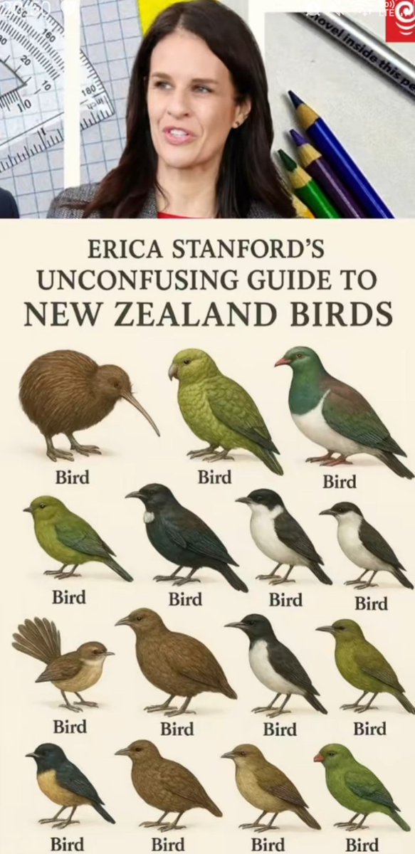 Boilup (@tewairoa) on Twitter photo 