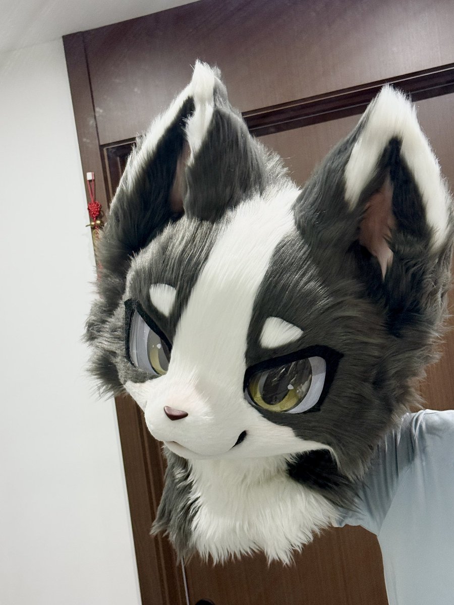 jssabcde's tweet photo. for sale

#furry #fursuit #kemono #fursuitmaker #Jsstudio
#kemonosuit https://t.co/mnmsj3o0v6