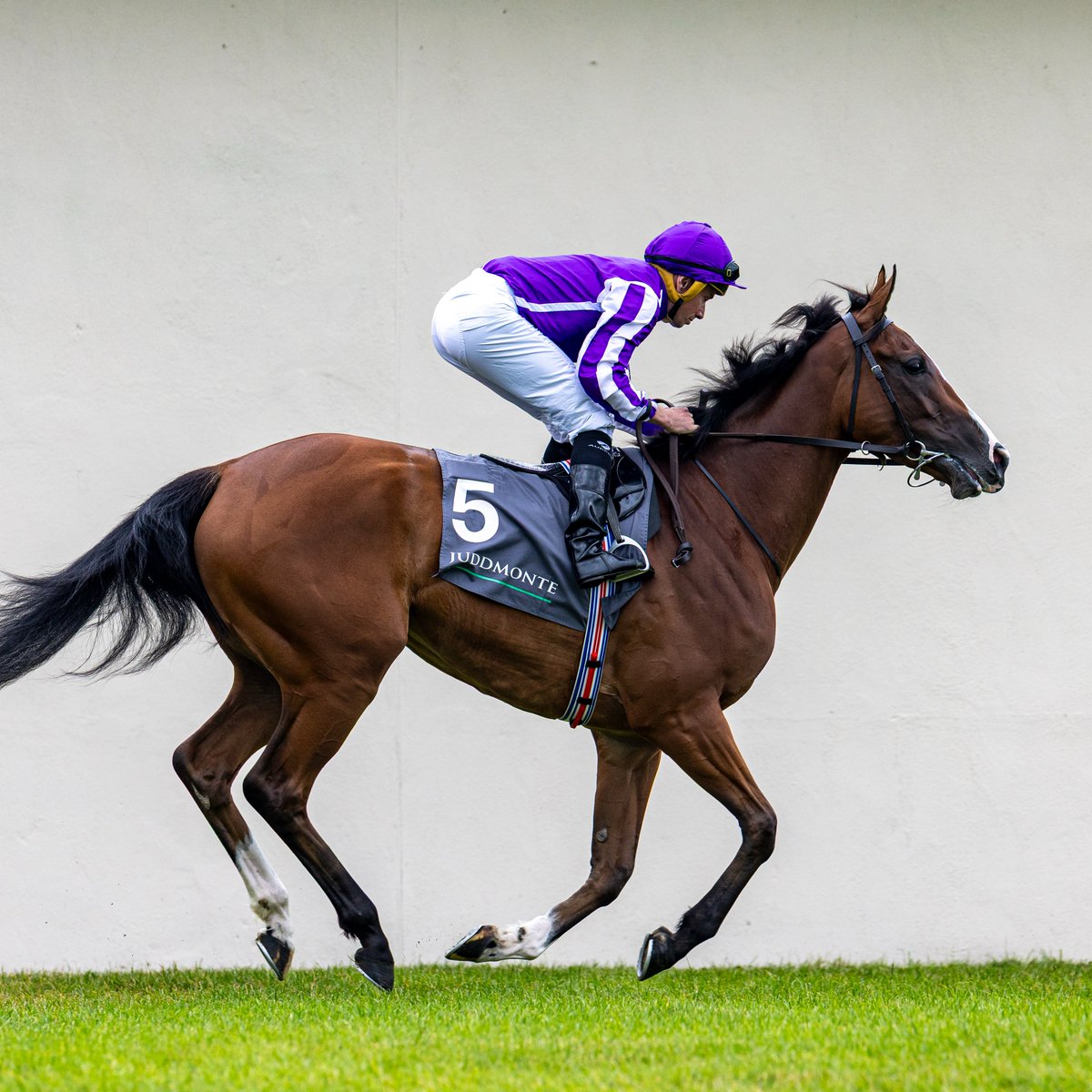 ⭕️ YORKSHIRE OAKS DECLARATIONS ⭕️

Estrange | Danny Tudhope
Garden Of Eden | Wayne Lordan
Minnie Hauk | Ryan Moore
Qilin Queen | Kieran Shoemark