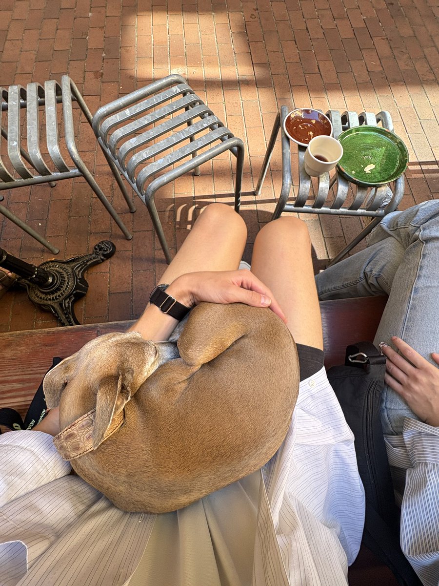 Прости, не могу говорить, меня выбрала для сна смешная собака в берлинской пекарне