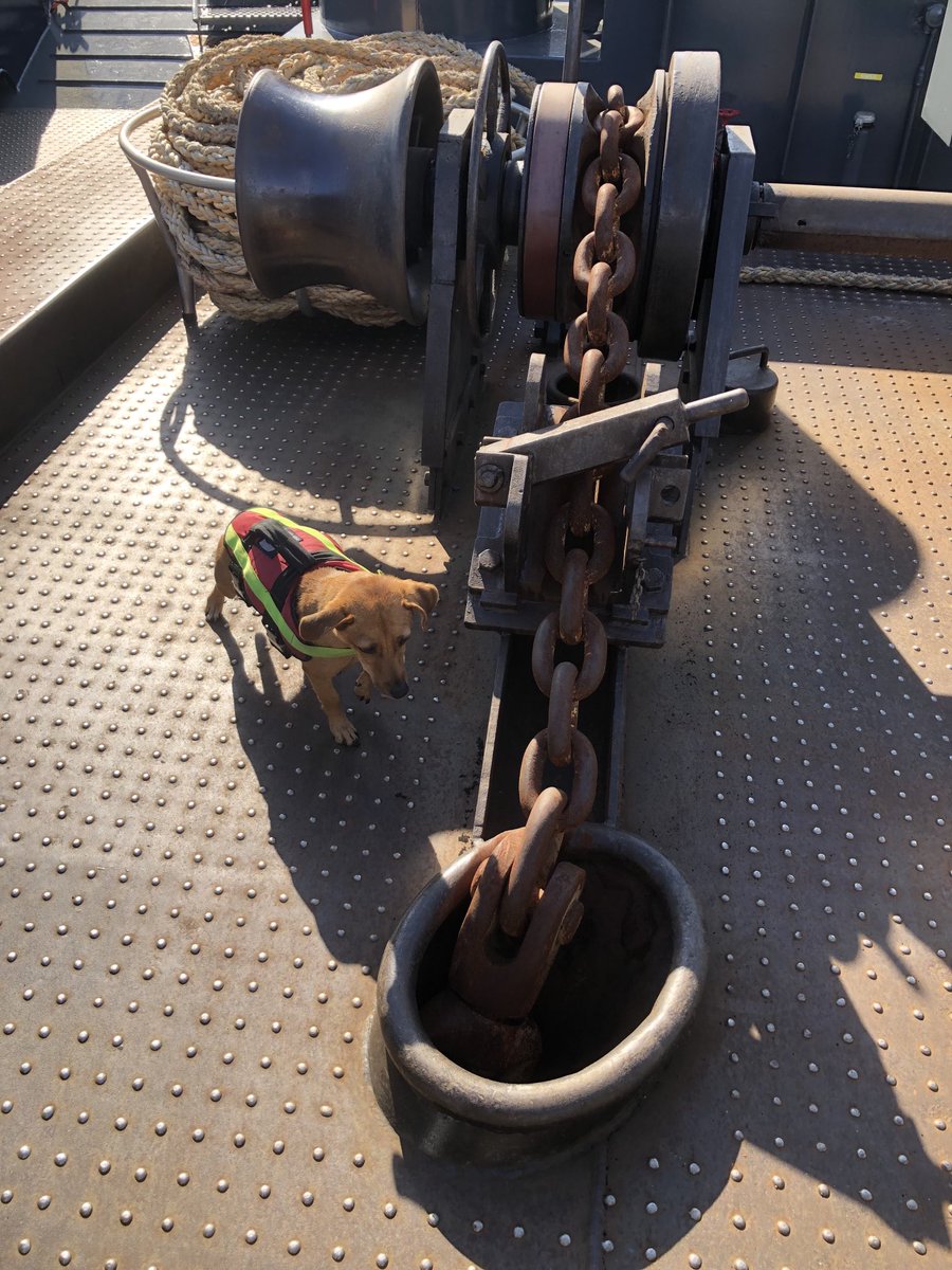 Ankerketting inspectie #leerling