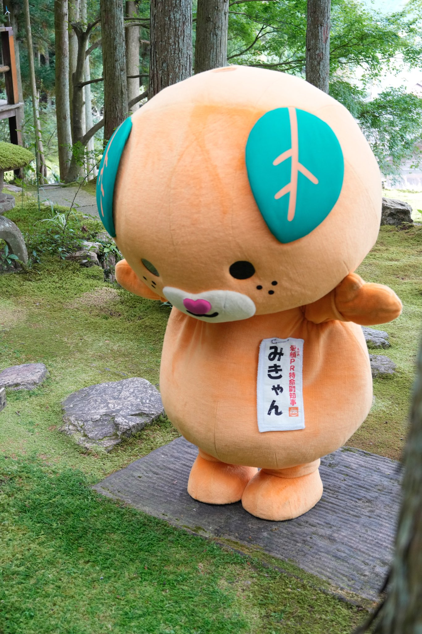 みきゃん【公式】《愛媛県イメージアップキャラクター