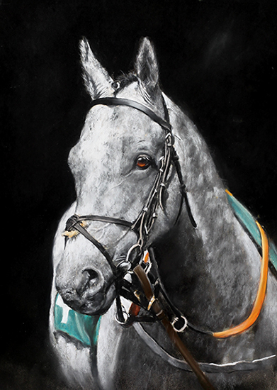 Saisons D'or what a horse, thats 11 wins now for the 10 year old trained <a href="/jeddokeeffe/">Jedd O'Keeffe</a> This painting done for one of the owners a couple of years ago ( he's even more grey now !}