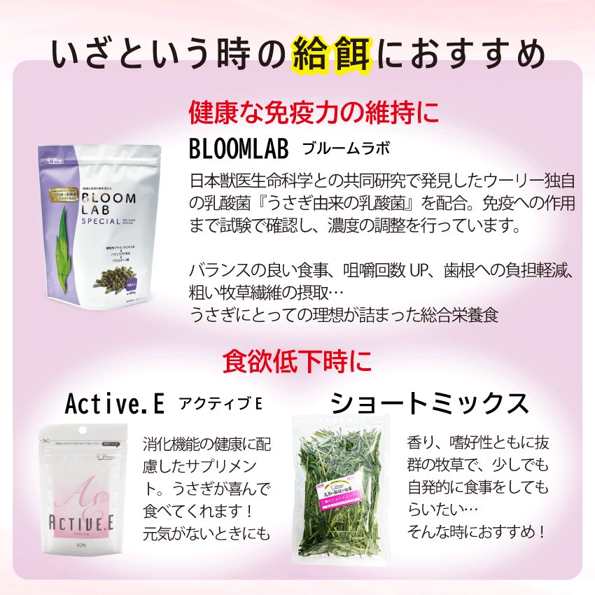 WOOLY（ウーリー） ㅣ うさぎの食彩工房 tweet media