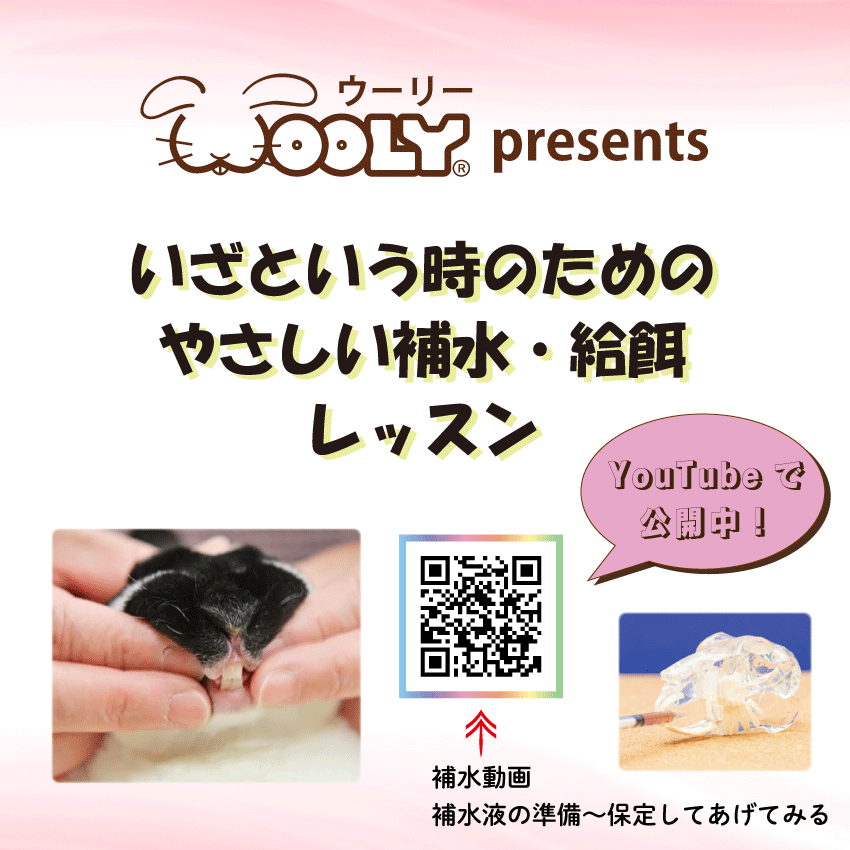 WOOLY（ウーリー） ㅣ うさぎの食彩工房 tweet media